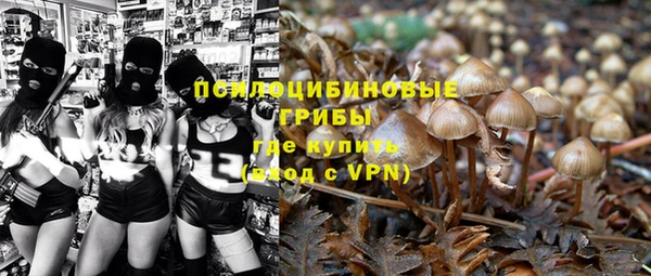 a pvp Абдулино