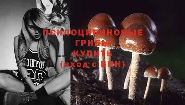 стаф Абинск